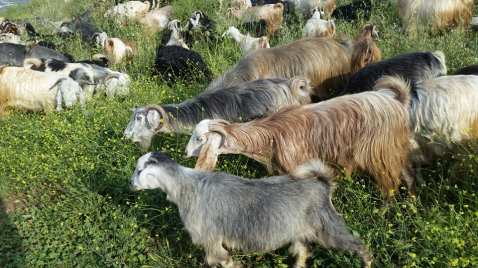 31641871_10101761611433392_5290224149952349447_n