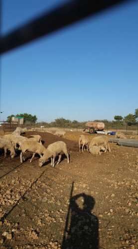 34631408_10101790225685202_4606934590597103616_o