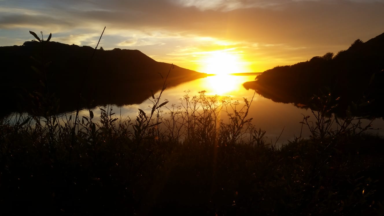 WhatsApp Image 2018-11-03 at 9.03.23 PM(1)