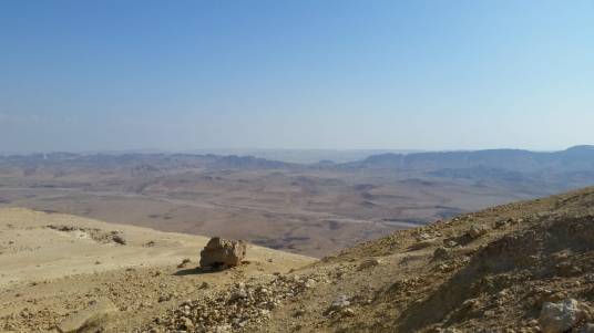 WhatsApp Image 2018-11-14 at 11.19.52 AM(1)