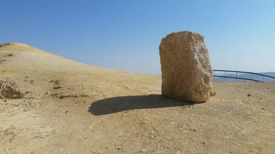 WhatsApp Image 2018-11-14 at 11.19.53 AM(1)