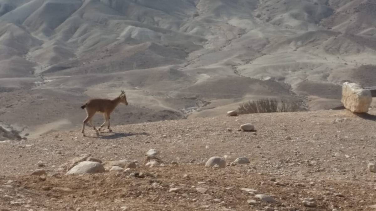 This time, the air raid siren was&nbsp;real