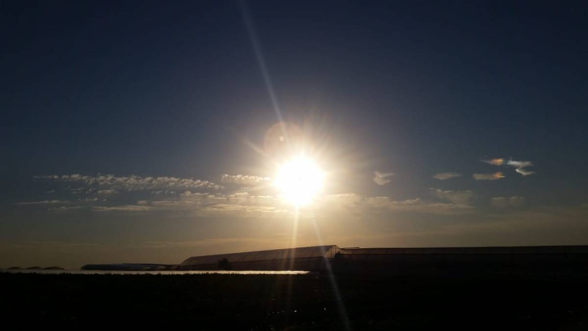 In search of a&nbsp;job