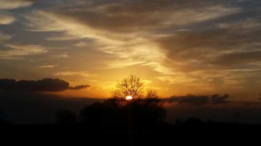 26165603_10101646978872962_6757401931522007275_n